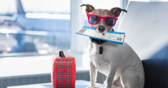 Aviation Services Law: A Comprehensive List of Passenger Benefits and Compensation
