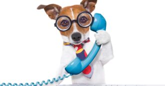 The Six-Minute Law: Limiting Wait Times for Human Telephone Response.