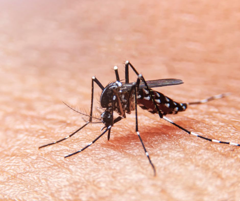 West Nile Fever: Who is Liable? And a Free Downloadable Cease and Desist Letter